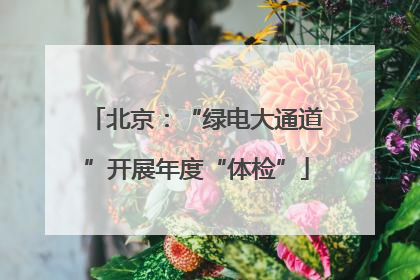 北京：“绿电大通道”开展年度“体检”
