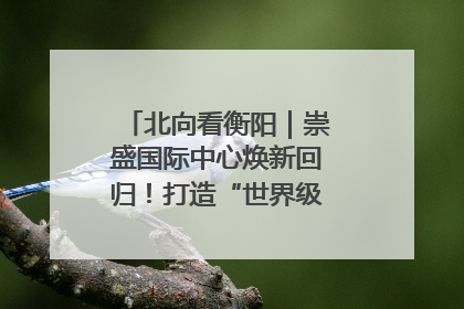北向看衡阳｜崇盛国际中心焕新回归！打造“世界级美食主题公园”