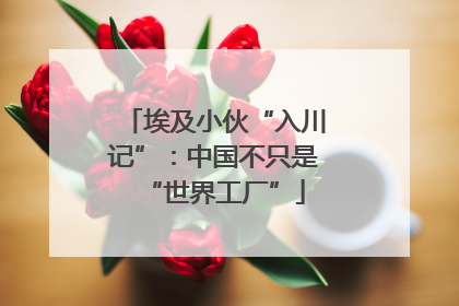 埃及小伙“入川记”：中国不只是“世界工厂”