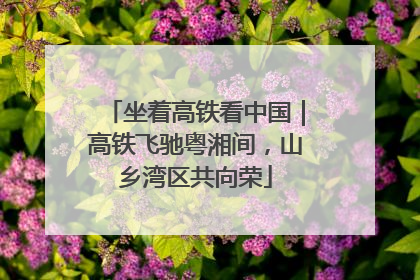 坐着高铁看中国｜高铁飞驰粤湘间，山乡湾区共向荣