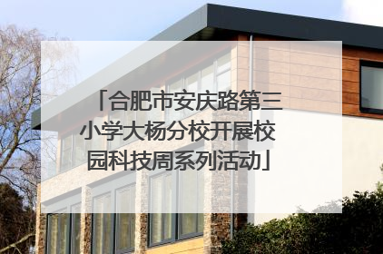 合肥市安庆路第三小学大杨分校开展校园科技周系列活动