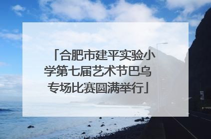 合肥市建平实验小学第七届艺术节巴乌专场比赛圆满举行