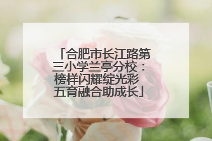合肥市长江路第三小学兰亭分校：榜样闪耀绽光彩 五育融合助成长