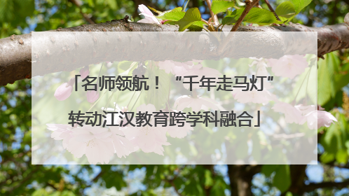 名师领航！“千年走马灯”转动江汉教育跨学科融合