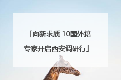 向新求质 10国外籍专家开启西安调研行