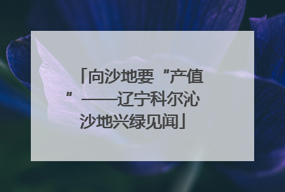 向沙地要“产值”——辽宁科尔沁沙地兴绿见闻