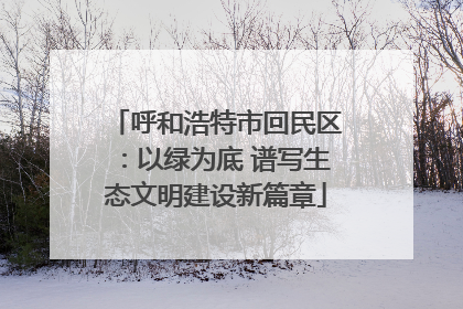 呼和浩特市回民区：以绿为底 谱写生态文明建设新篇章