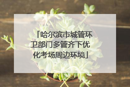 哈尔滨市城管环卫部门多管齐下优化考场周边环境