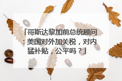 哥斯达黎加前总统顾问：美国对外加关税，对内猛补贴，公平吗？
