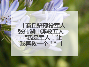 商丘籍现役军人张伟湖中连救五人 “我是军人，让我再救一个！”