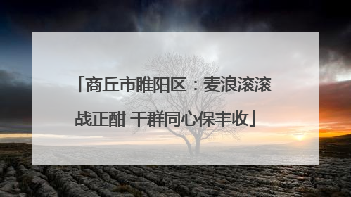 商丘市睢阳区：麦浪滚滚战正酣 干群同心保丰收