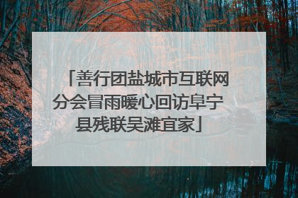 善行团盐城市互联网分会冒雨暖心回访阜宁县残联吴滩宜家