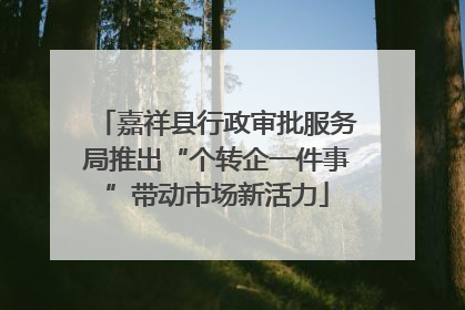 嘉祥县行政审批服务局推出“个转企一件事”带动市场新活力