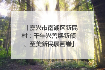 嘉兴市南湖区新民村：千年兴善焕新颜、至美新民展画卷