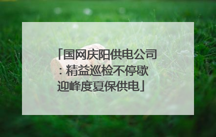 国网庆阳供电公司：精益巡检不停歇 迎峰度夏保供电