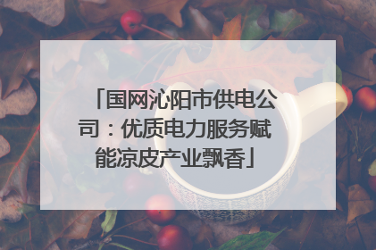 国网沁阳市供电公司：优质电力服务赋能凉皮产业飘香