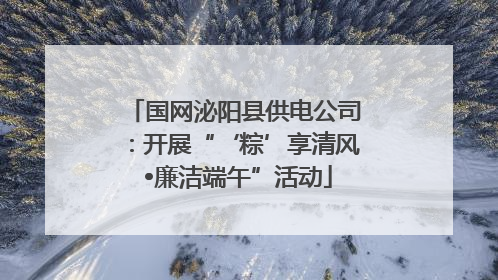 国网泌阳县供电公司：开展“‘粽’享清风 •廉洁端午”活动