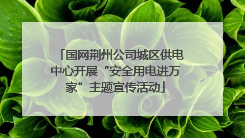 国网荆州公司城区供电中心开展“安全用电进万家”主题宣传活动