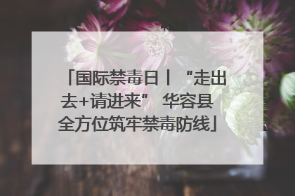 国际禁毒日丨“走出去+请进来” 华容县全方位筑牢禁毒防线