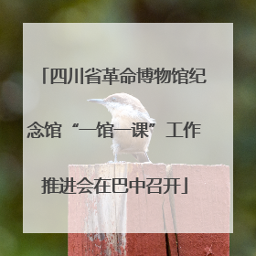 四川省革命博物馆纪念馆“一馆一课”工作推进会在巴中召开