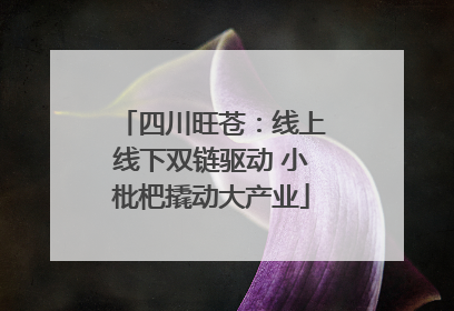 四川旺苍：线上线下双链驱动 小枇杷撬动大产业