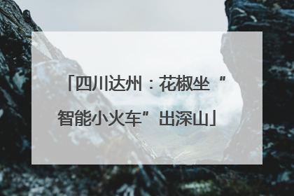四川达州：花椒坐“智能小火车”出深山
