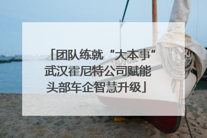 团队练就“大本事” 武汉霍尼特公司赋能头部车企智慧升级