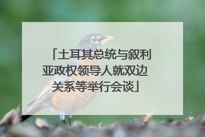 土耳其总统与叙利亚政权领导人就双边关系等举行会谈
