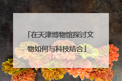 在天津博物馆探讨文物如何与科技结合