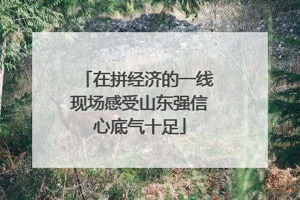 在拼经济的一线现场感受山东强信心底气十足