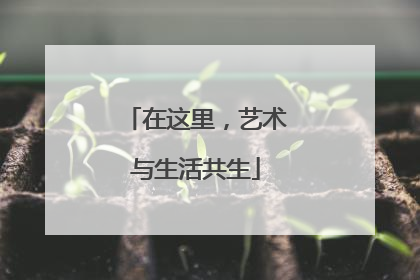在这里，艺术与生活共生