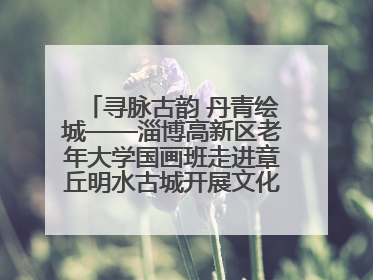寻脉古韵 丹青绘城——淄博高新区老年大学国画班走进章丘明水古城开展文化研学活动