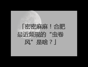密密麻麻！合肥最近频现的“虫卷风”是啥？