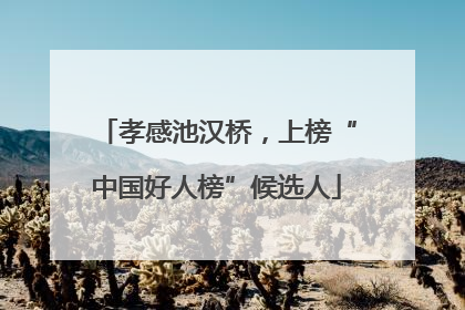 孝感池汉桥，上榜“中国好人榜”候选人