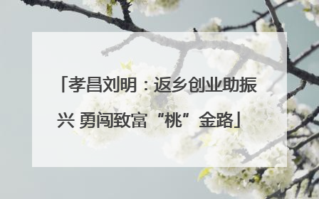 孝昌刘明：返乡创业助振兴 勇闯致富“桃”金路