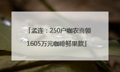 孟连：250户咖农喜领1605万元咖啡鲜果款