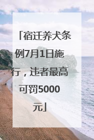 宿迁养犬条例7月1日施行，违者最高可罚5000元
