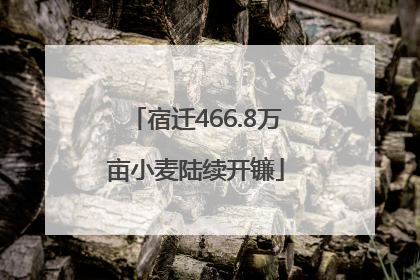 宿迁466.8万亩小麦陆续开镰
