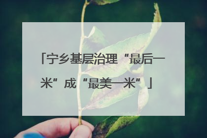 宁乡基层治理“最后一米”成“最美一米”
