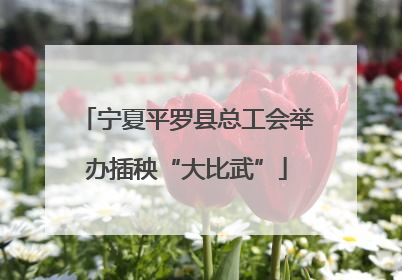宁夏平罗县总工会举办插秧“大比武”