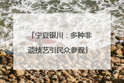 宁夏银川：多种非遗技艺引民众参观