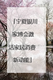 宁夏银川 家博会激活家居消费新动能