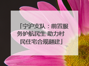 宁沪支队：前置服务护航民生 助力村民住宅合规翻建