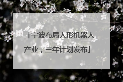 宁波布局人形机器人产业，三年计划发布