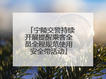 宁陵交警持续开展提醒乘客全员全程规范使用安全带活动