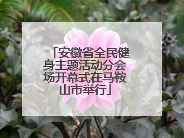 安徽省全民健身主题活动分会场开幕式在马鞍山市举行