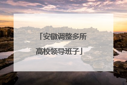 安徽调整多所高校领导班子