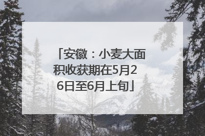 安徽：小麦大面积收获期在5月26日至6月上旬