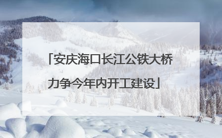 安庆海口长江公铁大桥力争今年内开工建设