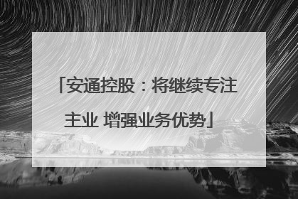 安通控股：将继续专注主业 增强业务优势